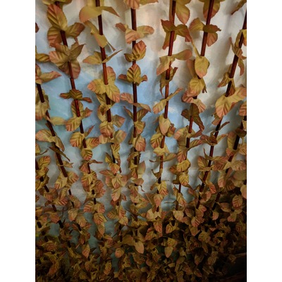Дверные бамбуковые шторы - Листья коричневые (фото, вид 2)